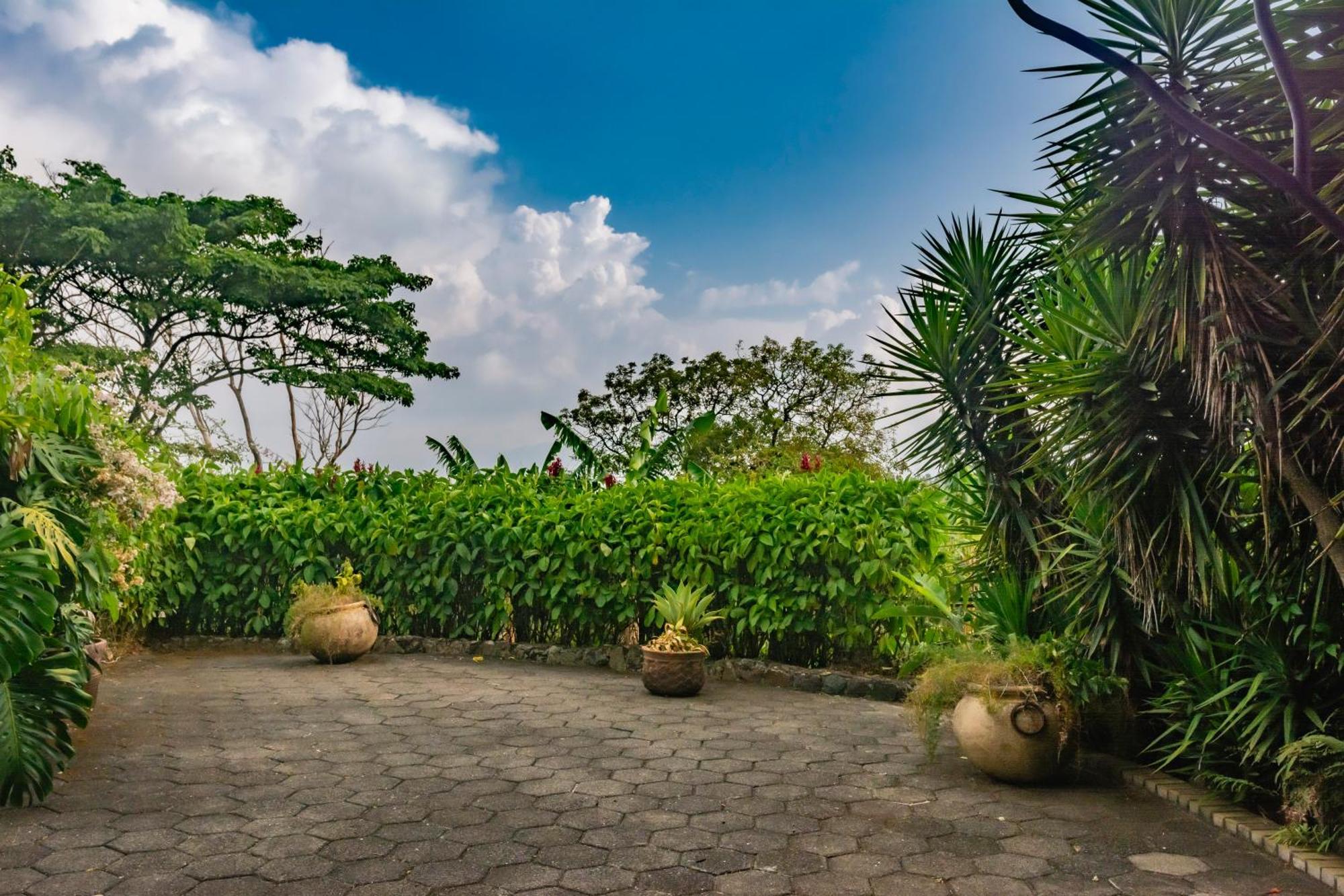Finca Rosa Blanca Coffee Farm And Inn Ередія Екстер'єр фото